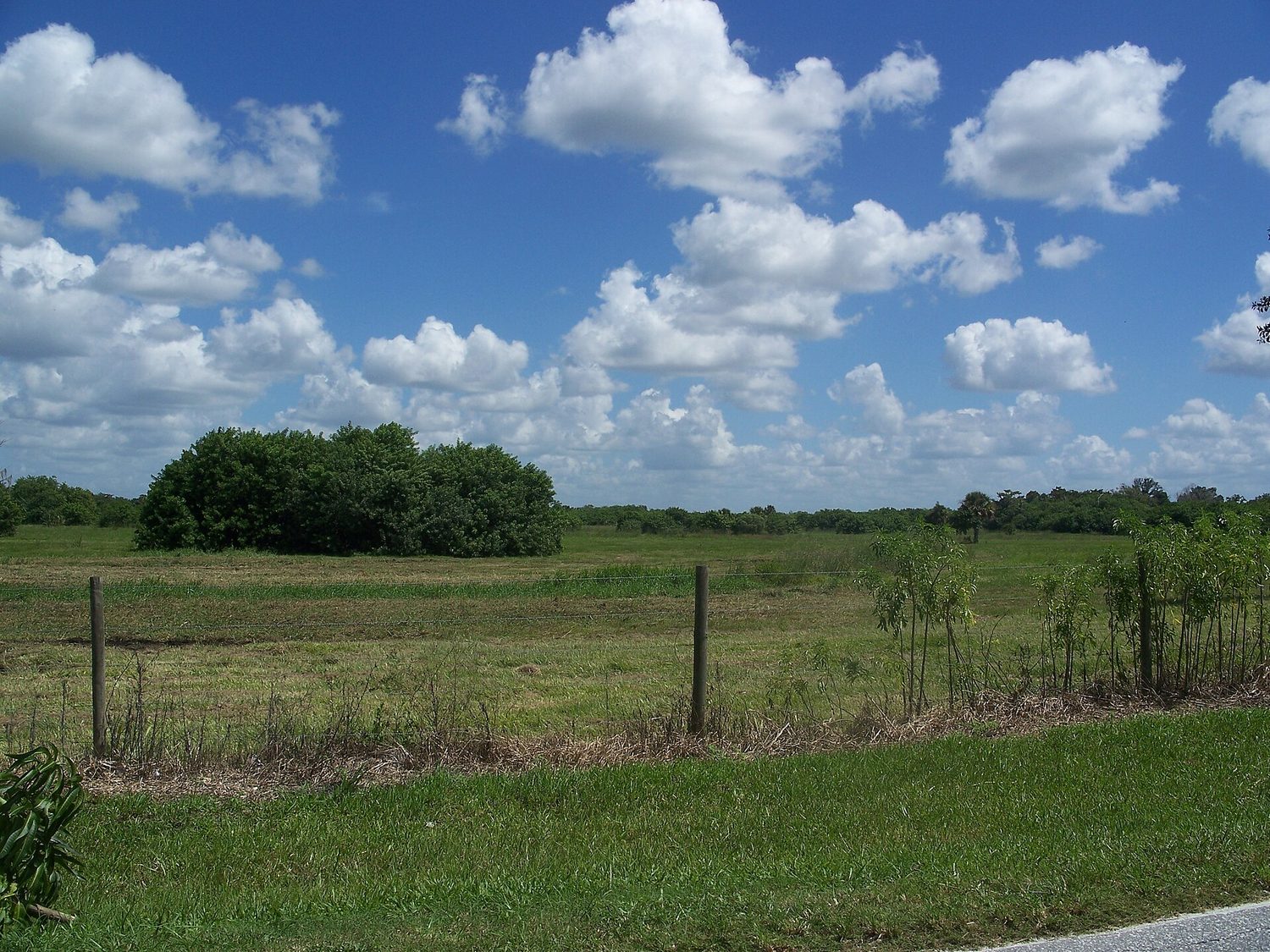 Okeechobee Florida Battlefield