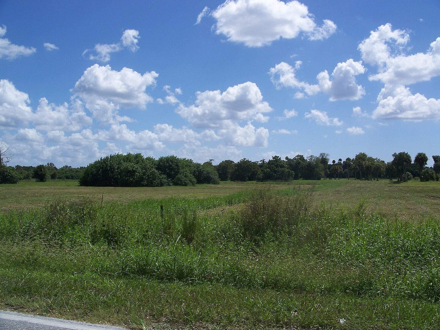 Okeechobee Florida Battlefield